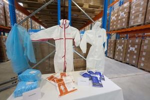 Germany Advances Pandemic Preparedness With Bat Organoid Research
