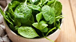 Ispanağın (Spinacia oleracea) C Vitamini (L-askorbik asit) İçeriğine Pişirme Sıcaklığının Etkisi: Bir Deney