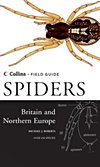 Spiders of Britain and Northern Europe