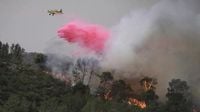 European countries send planes to help Israel fight massive wildfire