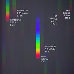  A Spectrum of Nova Delphini 