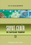 Soyut Cebir ve Sayılar Teorisi