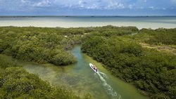 Araştırmacılar, Okyanusların Muhtemelen İklim Değişikliği Nedeniyle Renk Değiştirdiğini Buldu !