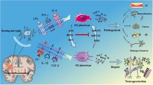 Microglia's Surprising Role Revealed: Modulating Cerebrovascular Reactivity