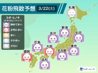 花粉飛散　広い範囲で“極めて多い”予想　花粉対策は万全に
