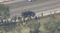 Federal agents gather in MacArthur Park in Los Angeles