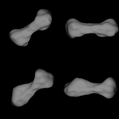 Köpek Kemiği Şeklindeki Asteroit 216 Kleopatra