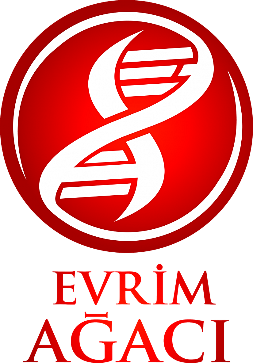 * Yazı tipi değişecektir.