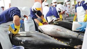 Vietnamese Shrimp Industry Faces Tariff Challenges Amid Growth