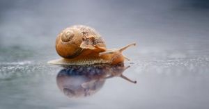 Bold Blue Makeup And Unusual Skincare Define 2026