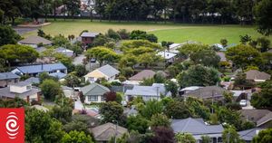 New Zealand Banks Slash Home Loan Rates Amid OCR Cut