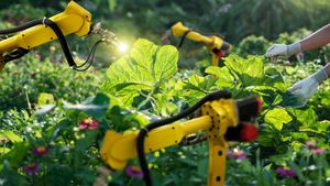 The Rise Of Automation Transforms Agriculture