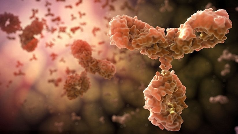 Virüslerin reseptörlerine tutunarak onları etkisizleştirebilen ve B lenfositlerden salgılanan gerçekçi antikor illüstrasyonu.