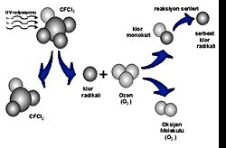 O2 O3 gibi ozon moleküllerini herhangi bir şekilde laboratuvar yardımıyla çoğaltıp tekrardan ozona gönderme şansımız var mı?