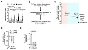 New Prognostic Model Links EPHB6 Gene Expression To Breast Cancer Outcomes