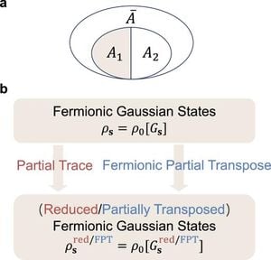 New Insights Into Quantum Many-Body Entanglement Revolutionize Understanding Of Fermionic Systems