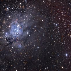 NGC 7129 and NGC 7142