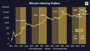 Bitcoin Price Analysis Reflects 2024 Volatility