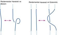 Tellerden Ölçü Teorisi