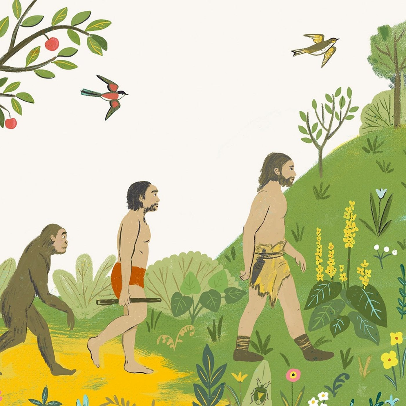 Evrim Ağacı ile Bilime Dair Her Şey!