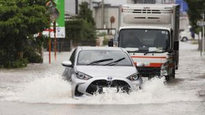 Heavy Snow Causes Major Traffic Disruptions Across Southern Kyushu