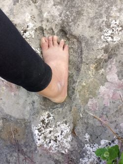 Bu fotoğraf Adana'nın Feke ilçesinde çekildi. Yorumlarınızı merak ediyorum. Sizce bu primat bir atamıza mı ait, yoksa daha yakın bir döneme mi?