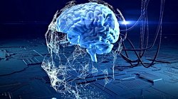 "Ölümsüzlük" hakkındaki düşünceleriniz/senaryolarınız neler?