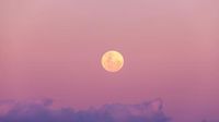 Llega la Luna Rosa de abril 2025: ¿Cuándo y dónde se podrá ver en España?