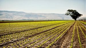 Farmers Innovate To Combat Climate Challenges