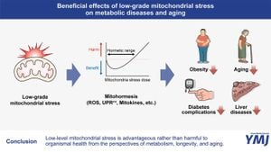 Link Between Aging And Increased GDF15 Levels Identified