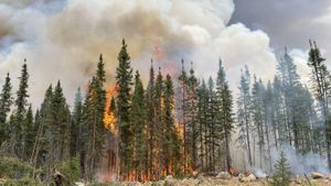 Wildfires Endanger Farmworkers Amid Climate Crisis