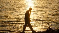 Aslında Farklı Mıyız Yada Hepimiz Aynı Mıyız?