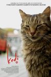 Kedi