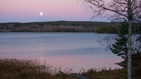 Rosa Mikromond im April: Dann sehen Sie den kleinsten Vollmond über Niedersachsen
