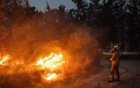 Government accused of failing to take fire threat seriously despite years of warnings