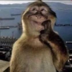 Biz NEDEN VARIZ  yani gerçekten varsak ve varlığımız evrende bi hacim kaplıyorsa bunun sebebi ne, neden sadece bizim diğer hayvanlardan bilişsel üstünlüğümüz var?