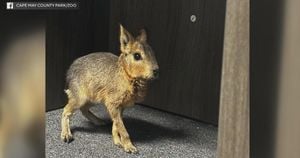 Patagonian Mara Family Thrives At Dubai Oasis