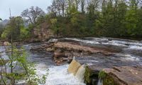 Body pulled from river in search for missing boy, 12