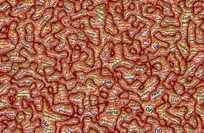 Amigdala, Hipokampus ve Bellek Üzerine...