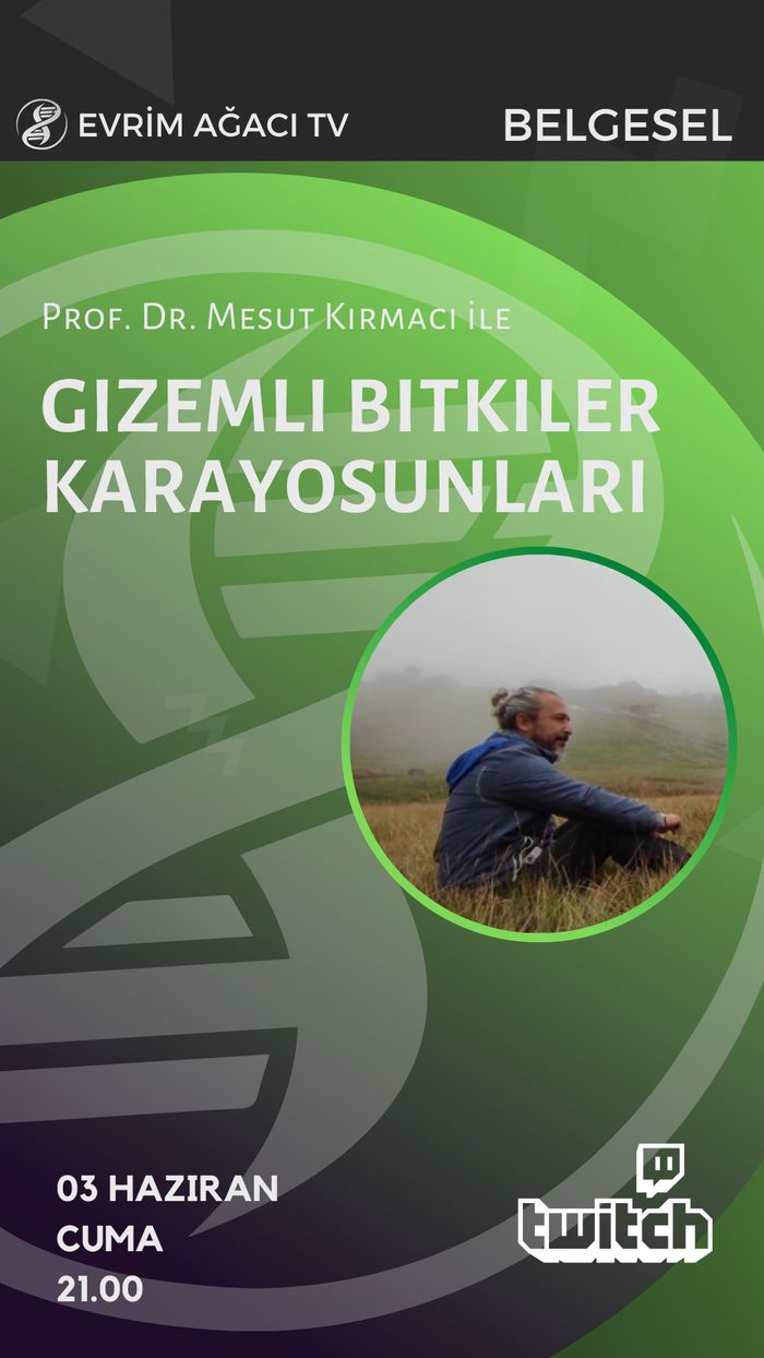 Prof. Dr. Mesut Kırmacı ile Gizemli Bitkiler Karayosunları