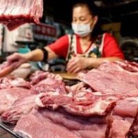 Taiwan detects first cases of swine fever