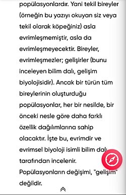 Bireysel değişimler neden evrim olarak ifade edilmiyor?