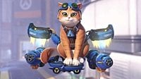 Overwatch Is Finally Getting A Cat Hero, A Decade After Inception