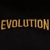 Evolution: Evrim T-Shirt (Nakış, %100 Pamuk)