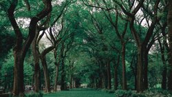 Canlılığın gelişiminde dil algı, Duygu ve sorgulamanın rolü