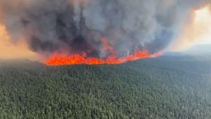 Global Wildfire Crisis Threatens Lives And Communities