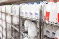 FDA pauses milk quality tests amid Trump workforce cuts