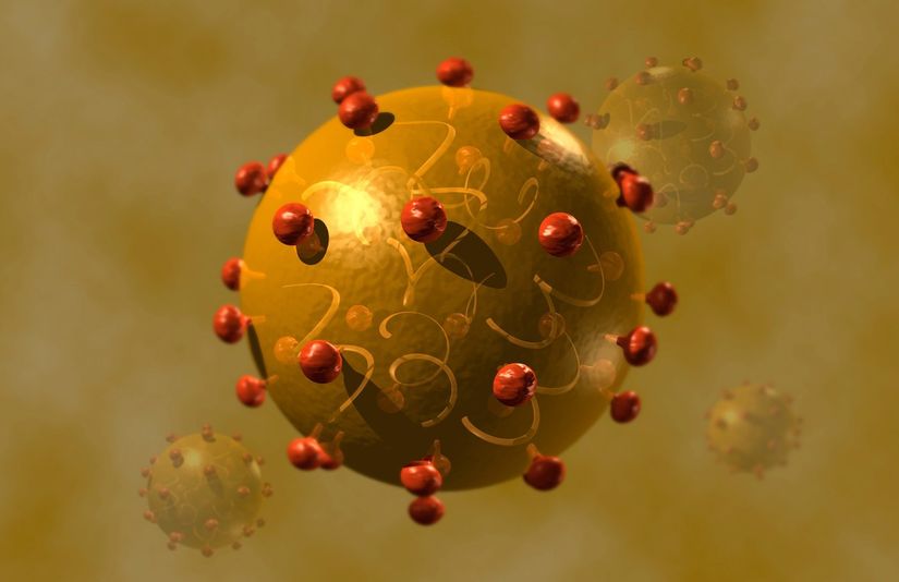 Hepatit C Virüsü