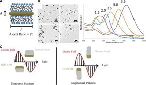 Novel Method Enhances Production Of Gold Nanorods For Biomedical Use