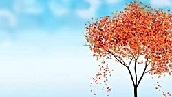 Sonbaharda neden yapraklar dökülür?